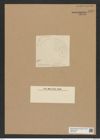 Odontella fenestrata (Grun.) (de-Toni-Nr.: Genus 122, Species 3459) Zeichnungen Sammlung Grunow Nr. 6921 (NHMW-BOT-W0375798)